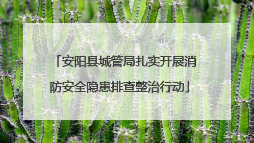 安阳县城管局扎实开展消防安全隐患排查整治行动