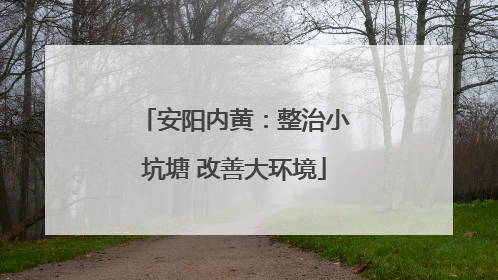 安阳内黄：整治小坑塘 改善大环境