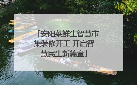 安阳菜鲜生智慧市集装修开工 开启智慧民生新篇章