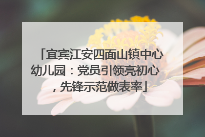 宜宾江安四面山镇中心幼儿园：党员引领亮初心，先锋示范做表率