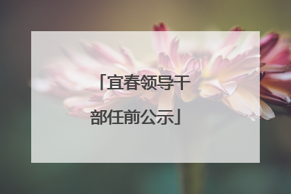 宜春领导干部任前公示