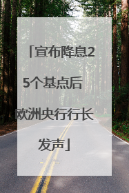 宣布降息25个基点后 欧洲央行行长发声