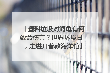 塑料垃圾对海龟有何致命伤害？世界环境日，走进开普敦海洋馆