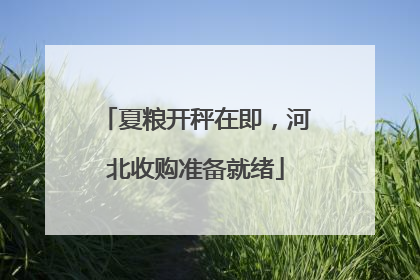 夏粮开秤在即，河北收购准备就绪
