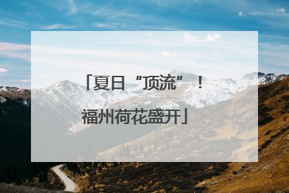 夏日“顶流”！福州荷花盛开