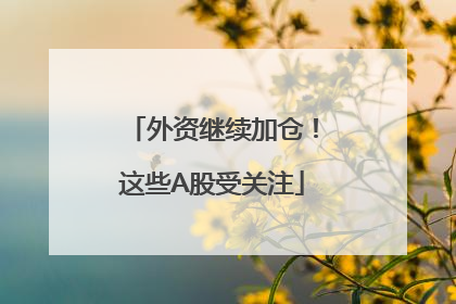 外资继续加仓！这些A股受关注
