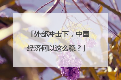 外部冲击下，中国经济何以这么稳？