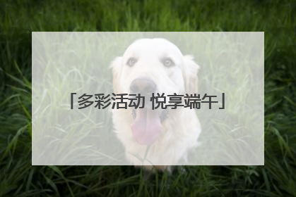 多彩活动 悦享端午