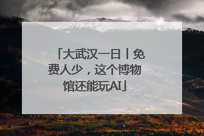 大武汉一日丨免费人少，这个博物馆还能玩AI