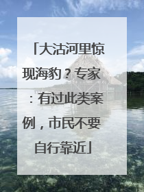 大沽河里惊现海豹？专家：有过此类案例，市民不要自行靠近