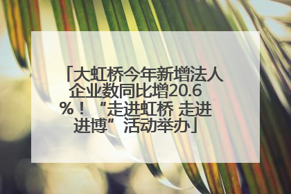 大虹桥今年新增法人企业数同比增20.6%！“走进虹桥 走进进博”活动举办