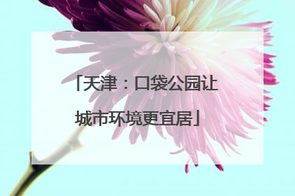 天津：口袋公园让城市环境更宜居