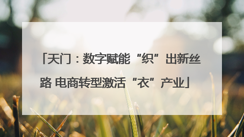 天门：数字赋能“织”出新丝路 电商转型激活“衣”产业