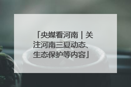 央媒看河南｜关注河南三夏动态、生态保护等内容