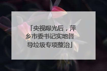 央视曝光后，萍乡市委书记实地督导垃圾专项整治
