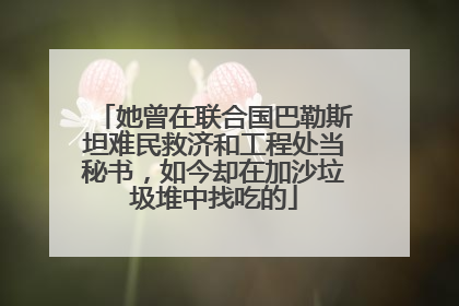她曾在联合国巴勒斯坦难民救济和工程处当秘书，如今却在加沙垃圾堆中找吃的