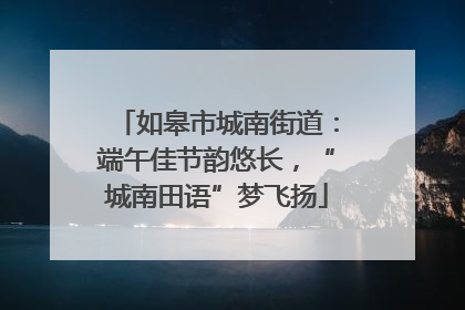 如皋市城南街道：端午佳节韵悠长，“城南田语”梦飞扬