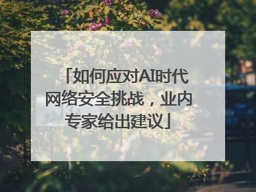 如何应对AI时代网络安全挑战，业内专家给出建议