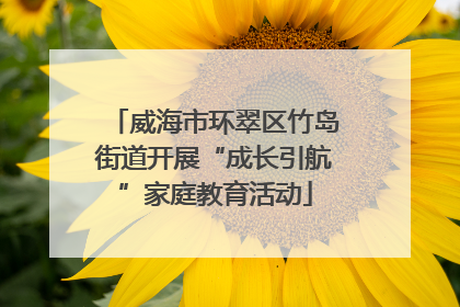 威海市环翠区竹岛街道开展“成长引航”家庭教育活动