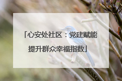 心安处社区：党建赋能 提升群众幸福指数