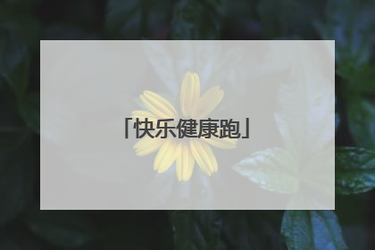 快乐健康跑