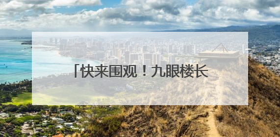 快来围观！九眼楼长城，傻狍子出没~
