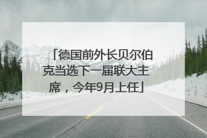 德国前外长贝尔伯克当选下一届联大主席，今年9月上任