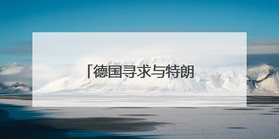 德国寻求与特朗普政府协调涉乌克兰问题立场