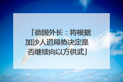 德国外长：将根据加沙人道局势决定是否继续向以方供武