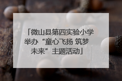 微山县第四实验小学举办“童心飞扬 筑梦未来”主题活动