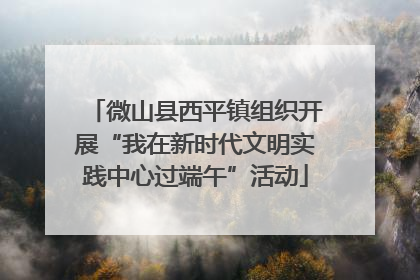 微山县西平镇组织开展“我在新时代文明实践中心过端午”活动