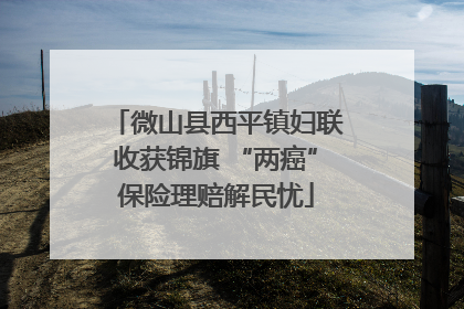 微山县西平镇妇联收获锦旗 “两癌”保险理赔解民忧