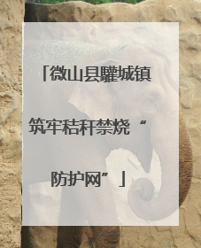 微山县驩城镇筑牢秸秆禁烧“防护网”