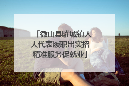 微山县驩城镇人大代表履职出实招精准服务促就业