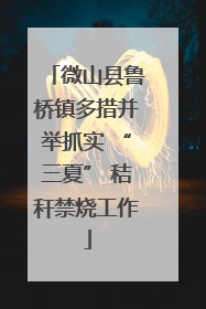 微山县鲁桥镇多措并举抓实 “三夏” 秸秆禁烧工作