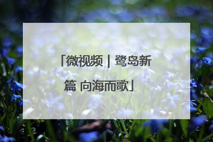 微视频｜鹭岛新篇 向海而歌