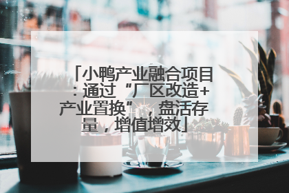 小鸭产业融合项目：通过“厂区改造+产业置换”，盘活存量，增值增效