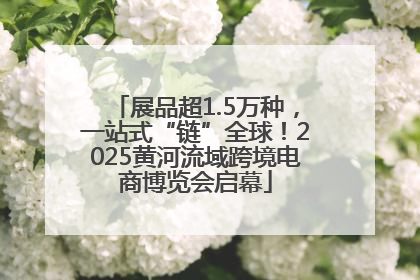 展品超1.5万种，一站式“链”全球！2025黄河流域跨境电商博览会启幕
