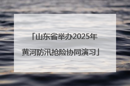 山东省举办2025年黄河防汛抢险协同演习