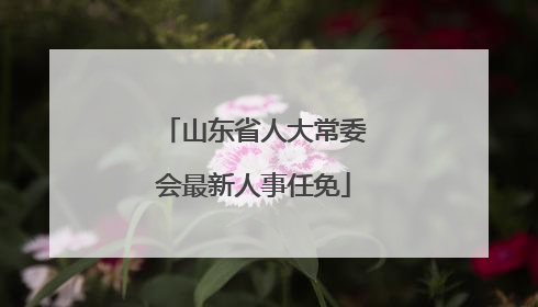 山东省人大常委会最新人事任免