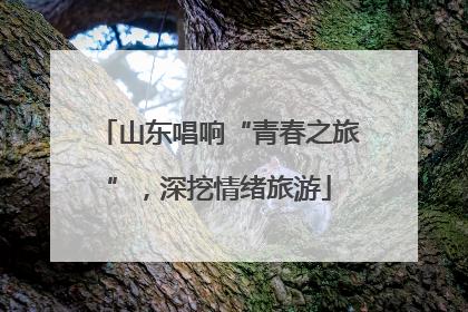 山东唱响“青春之旅”，深挖情绪旅游