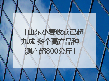 山东小麦收获已超九成 多个高产品种测产超800公斤