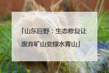 山东巨野：生态修复让废弃矿山变绿水青山