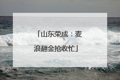 山东荣成：麦浪翻金抢收忙