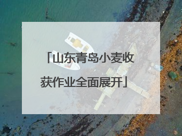 山东青岛小麦收获作业全面展开
