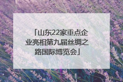山东22家重点企业亮相第九届丝绸之路国际博览会