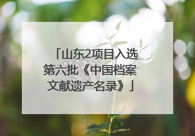 山东2项目入选第六批《中国档案文献遗产名录》