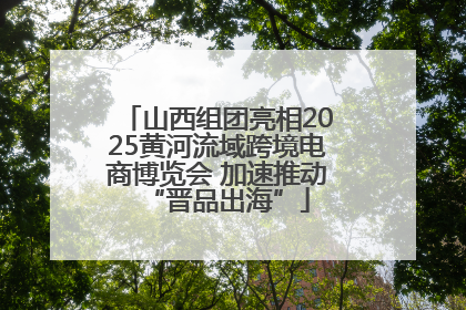 山西组团亮相2025黄河流域跨境电商博览会 加速推动“晋品出海”