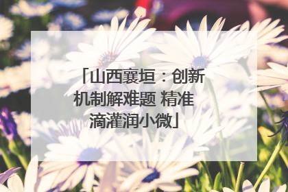 山西襄垣：创新机制解难题 精准滴灌润小微