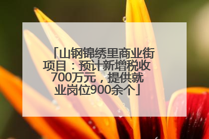 山钢锦绣里商业街项目：预计新增税收700万元，提供就业岗位900余个